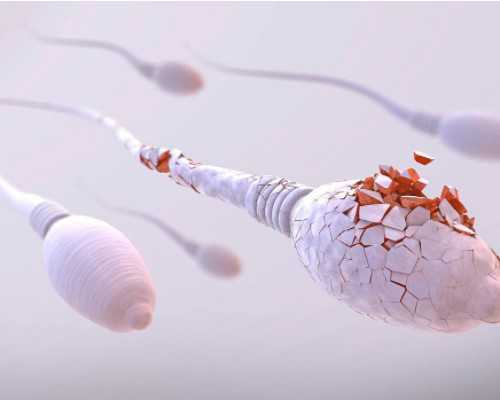 2026年中药调理输卵管不通指南：如何通过辅助生殖技术提升受孕成功率