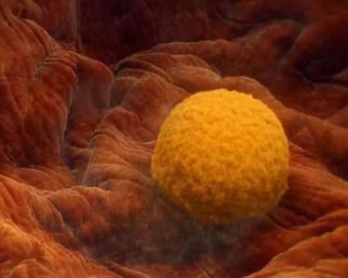 第三代试管婴儿成功率深度解析：辅助生殖如何助力高龄与遗传病家庭