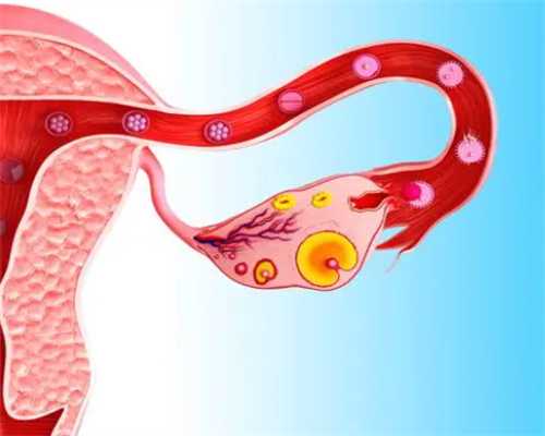 42岁高龄做三代试管婴儿成功率深度解析：辅助生殖技术圆梦指南
